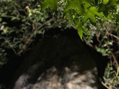 -映月潭温泉