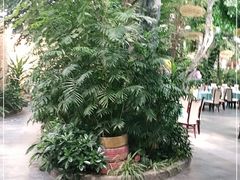 -滕头生态酒店(奉化店)