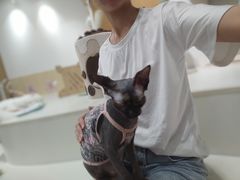 -COLOR PETS 撸猫馆·购猫·猫咖(长风大悦城店)