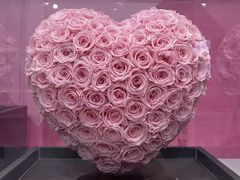 -ROSEONLY诺誓(广州K11店)