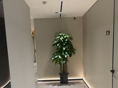 -W·24H茶楼·棋牌·掼蛋(望京店)