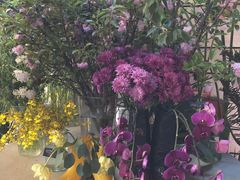 -PlantsEatery·植物食堂(REX春熙店)