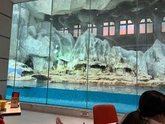 -帝企鹅自助餐厅•儿童岛•真企鹅(长隆企鹅酒店)