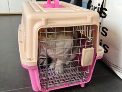 -宠物之家Pets Home 宠物寄养酒店