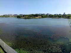 -南京市江宁方山