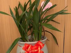 -和记小菜(名品店)