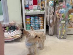 -悦宠凯宝动物医院·牙科·皮肤科(朝阳北路店)
