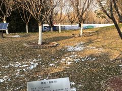 -丰台花园