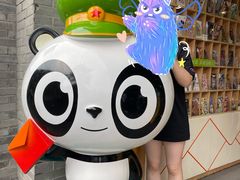 -熊猫屋(宽窄巷子景区店)