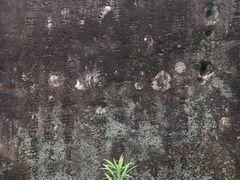 -东沙渔村