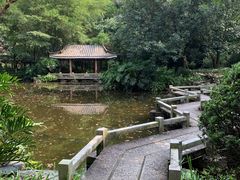 -水濂山森林公园