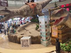 -成都浩海立方海洋公园