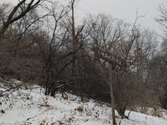 -三块石国家森林公园