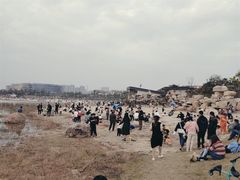 -九龙湖公园