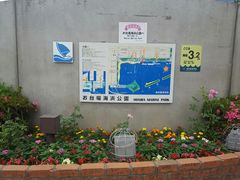 -台场海滨公园船码头