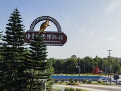 -自贡恐龙博物馆
