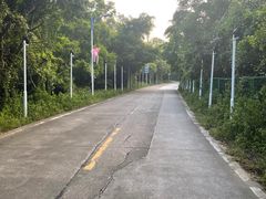 -西涌国际滨海旅游区