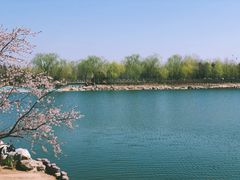 -大兴滨河森林公园