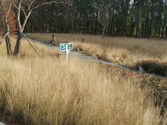 -昆山城市生态森林公园