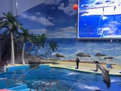 -福州罗源湾海洋世界旅游区
