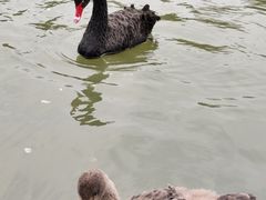 -东华大学(松江校区)