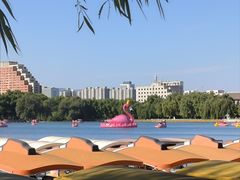 -莲花池公园