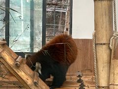 -无锡动物园·太湖欢乐园