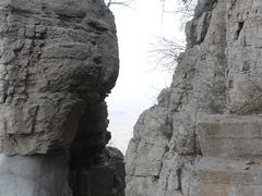 -抱犊崮国家森林公园