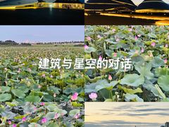 -哈尔滨大剧院