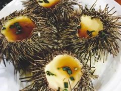 海胆蒸蛋-江宁会馆(劈柴院店)