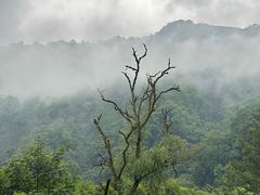 -青城山