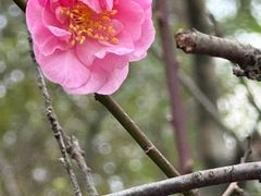-大蜀山国家森林公园