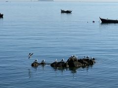 -银沙滩浴场