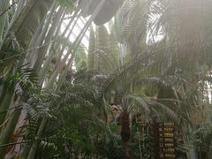 -龙达温泉生态城