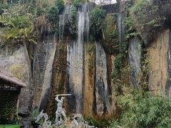 -西双版纳原始森林公园