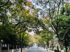 -八大关景区