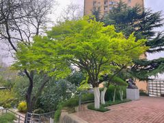 -西安市纺织公园