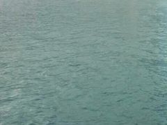-海港城