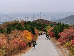 -北京西山国家森林公园