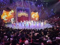 -珠海横琴长隆《卡卡虎奇遇记》