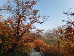 -香山公园