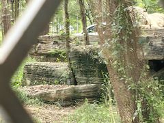 -秦皇岛野生动物园
