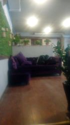 -红人馆造型十添