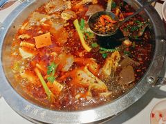 -蜀滋香鲜鱼美蛙火锅(339店)