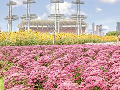 -海心沙亚运公园