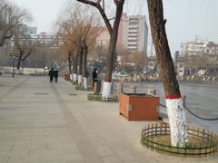 -文瀛公园