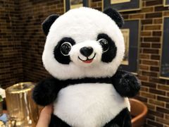 -新乡杨记红焖羊肉火锅(天坛南门店)