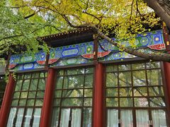 -四川大学(华西校区)