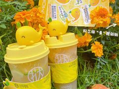 -挞柠·手打柠檬茶(花城汇中区旗舰店)