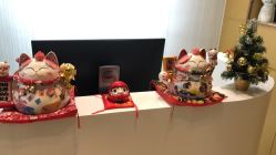 -JNK皮肤管理中心